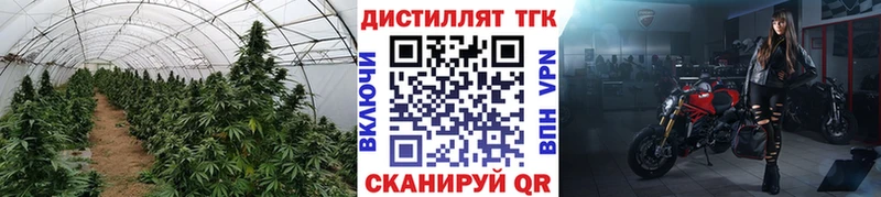 где купить наркотик ОМГ ОМГ онион ТГК THC oil Надым